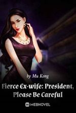 Fierce Ex-wife: President, Please Be Careful