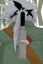 Konoha’s White Fang Shines