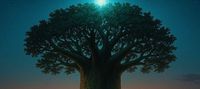 Arborvoid